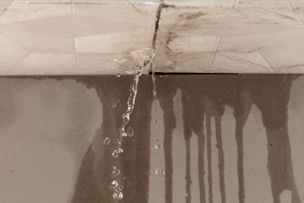 Professional Structural Drying technician working in Andover, NH